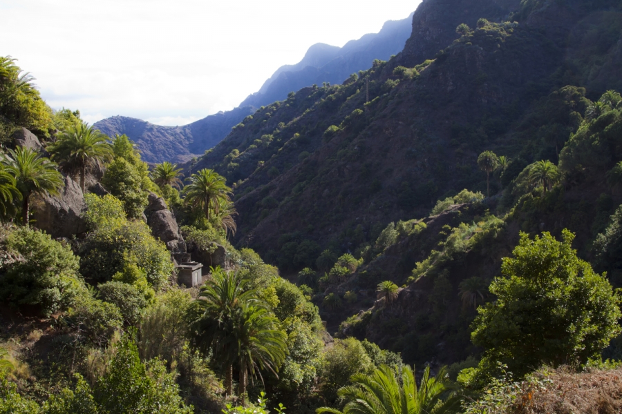 LA GOMERA